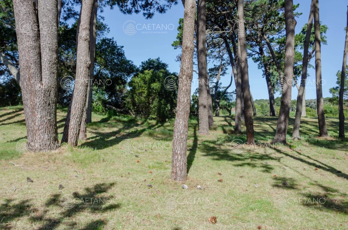 Venta lote en Veramansa, Playa Mansa