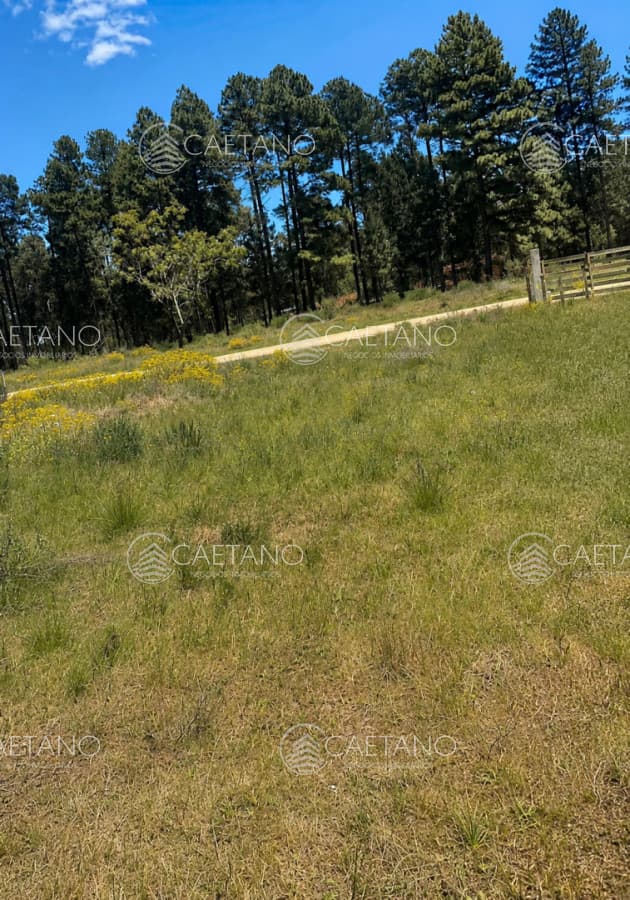 VENTA TERRENO MALDONADO