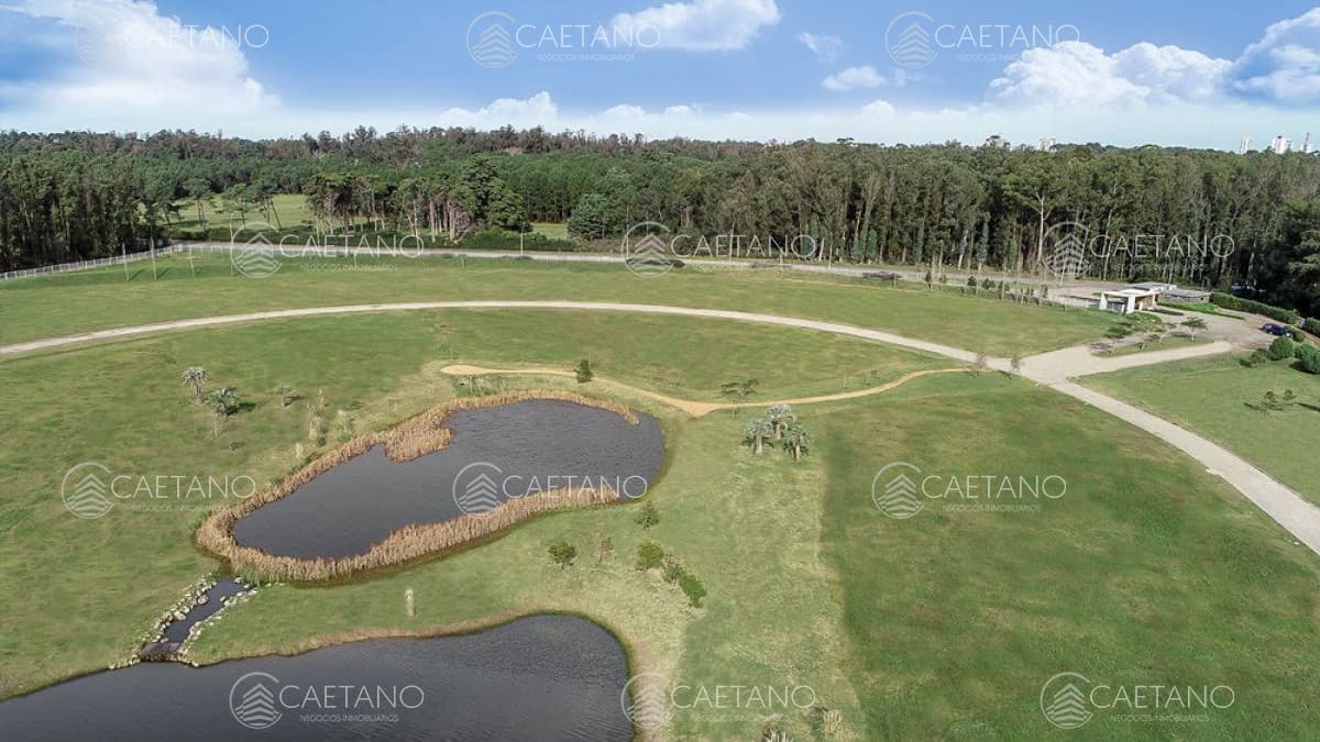 Venta terrenos zona Edificios Caracoles Ciudad Jardin