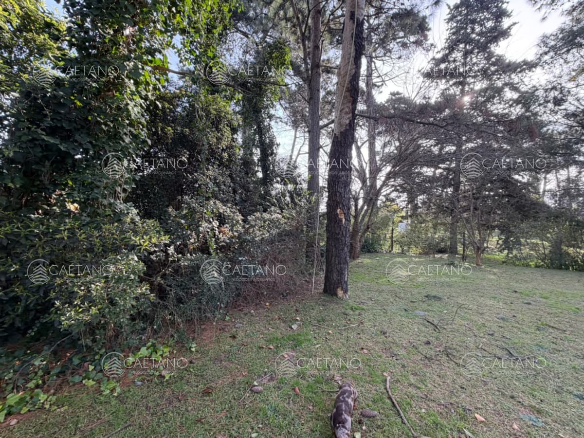 Venta terreno Jardines de Cordoba. Punta del Este.