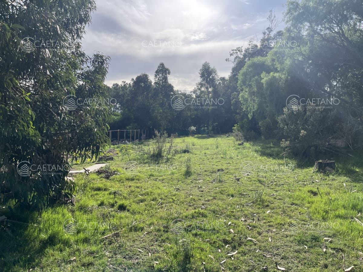 Venta terreno La Escondida. El tesoro La barra