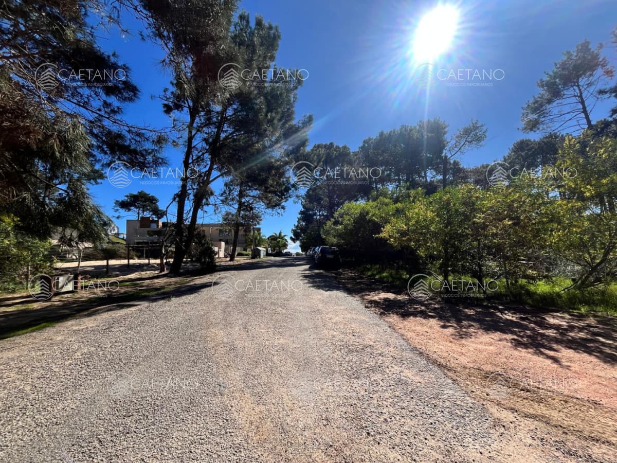 Terreno en venta en Club Del Lago, Punta Ballena