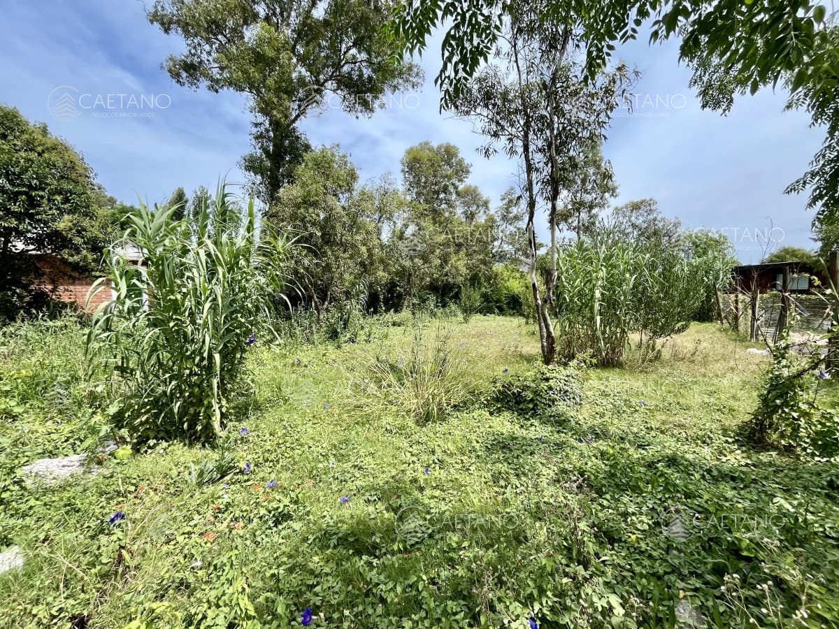 Terreno en venta El Tesoro