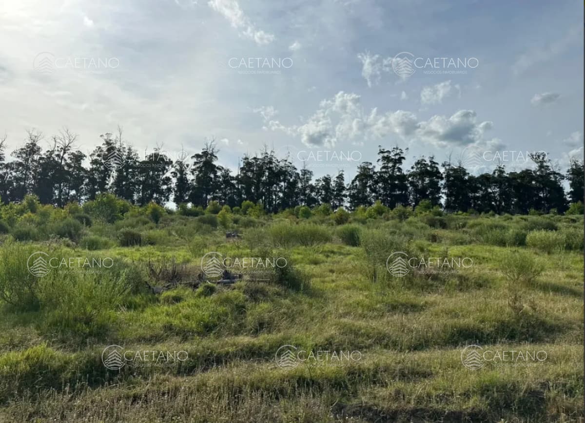 Venta de terreno en Eden Rock