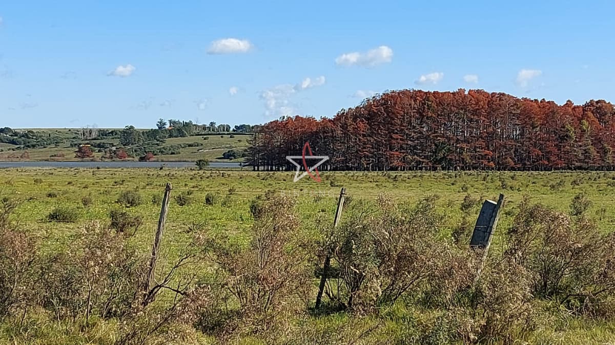 Chacra sobre Laguna del Sauce  - Bintang Propiedades