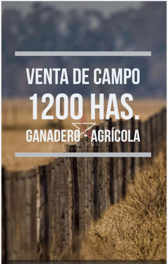 Soriano 1200 has  - Bintang Propiedades