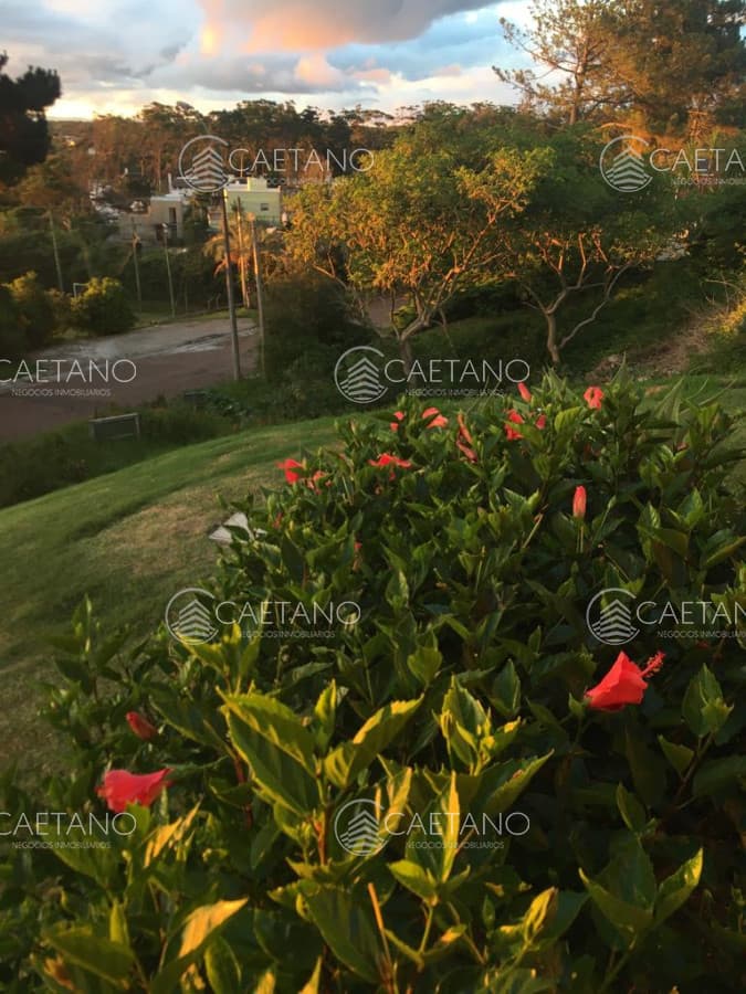 Venta de casa de 3 dormitorios en Punta Ballena