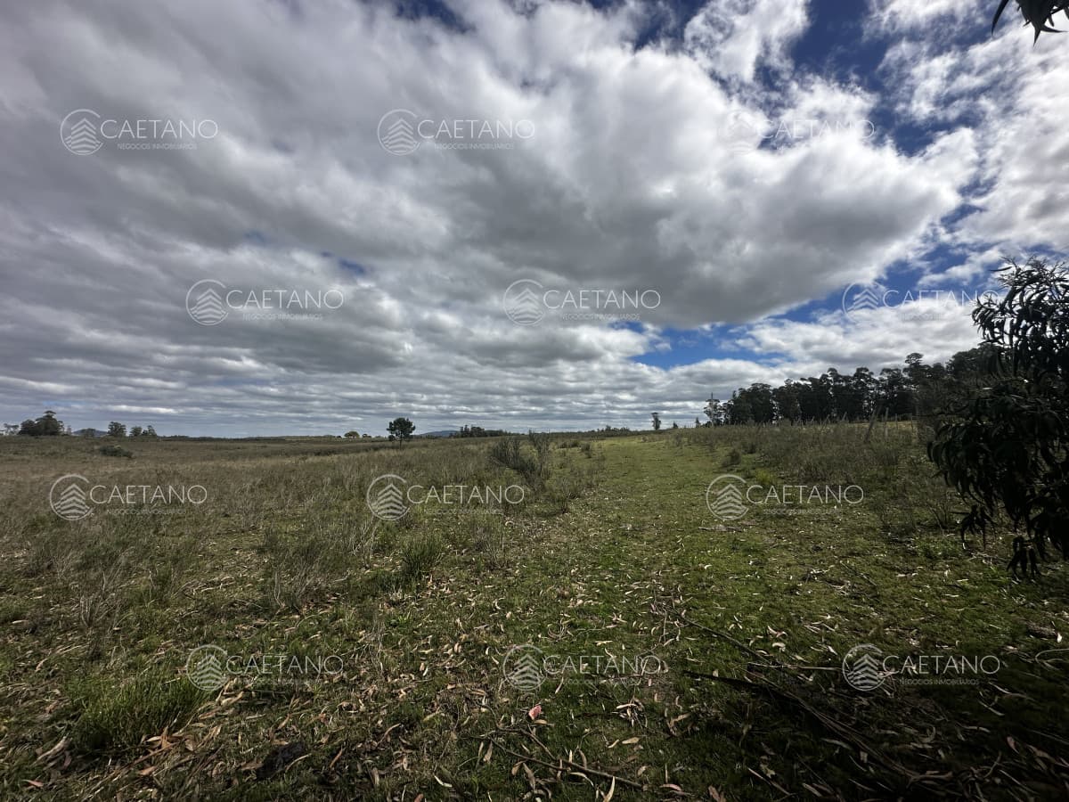 Venta chacra km 116 ruta 9. Cerca de Pan de azúcar