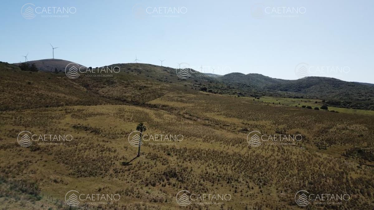 Venta chacras 5 has Sierra de los Caracoles