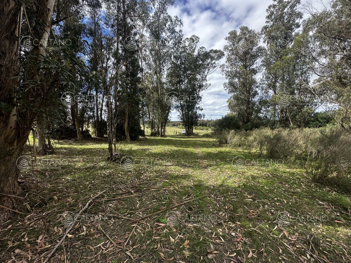 Venta chacra km 116 ruta 9. Cerca de Pan de azúcar