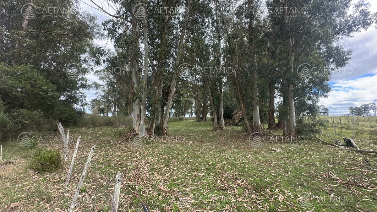 Venta chacra km 116 ruta 9. Cerca de Pan de azúcar