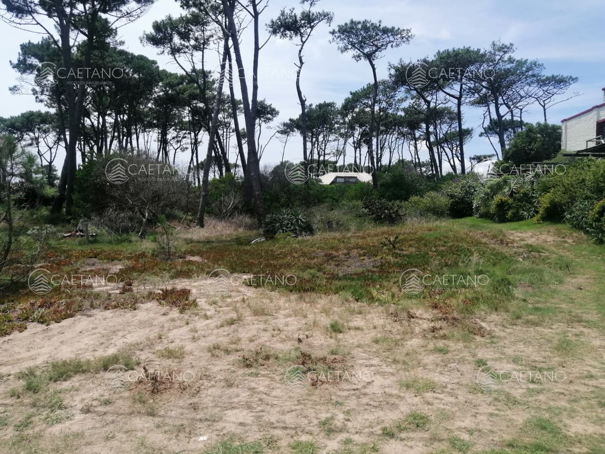 Venta terreno Chihuhua. Punta del Este.