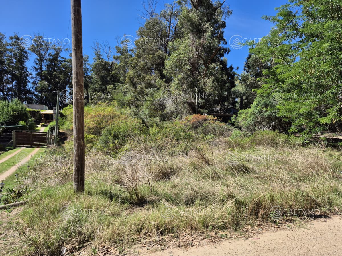 Lote ocean parck