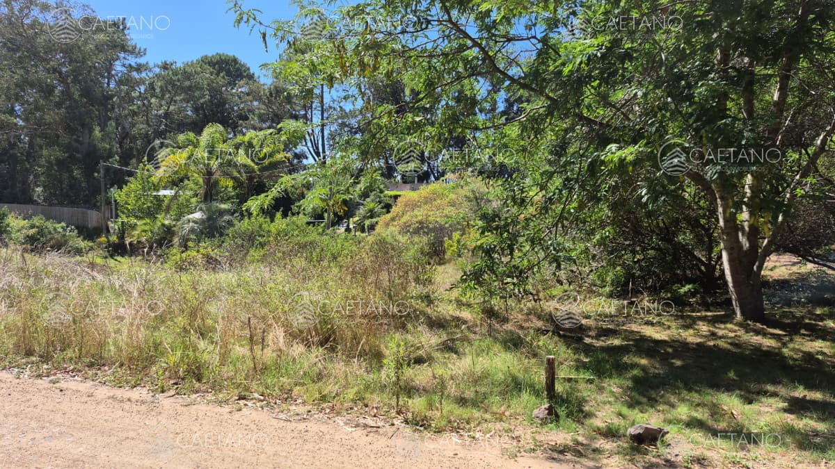 Lote ocean parck