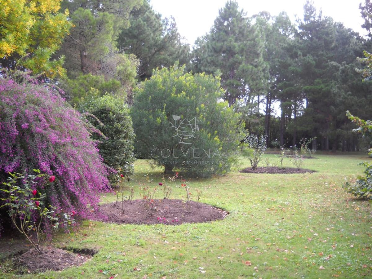 Venta chacra Punta del Este