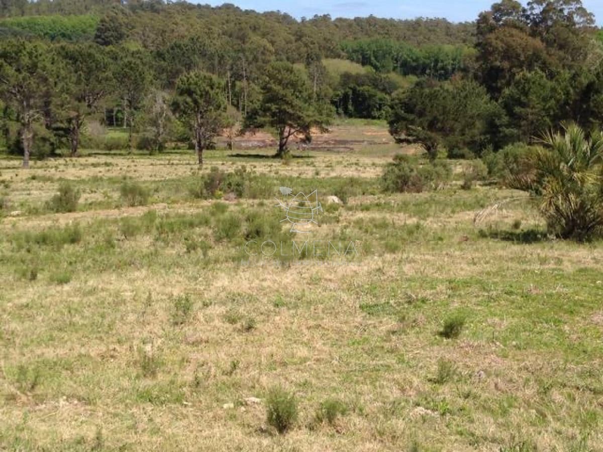 Venta chacra sobre camino La pataia Punta Ballena