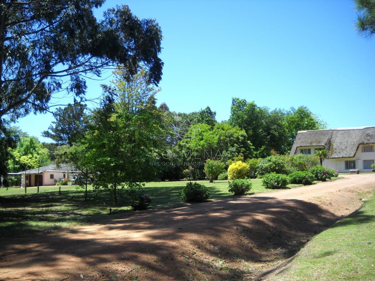 Venta chacra Punta del Este