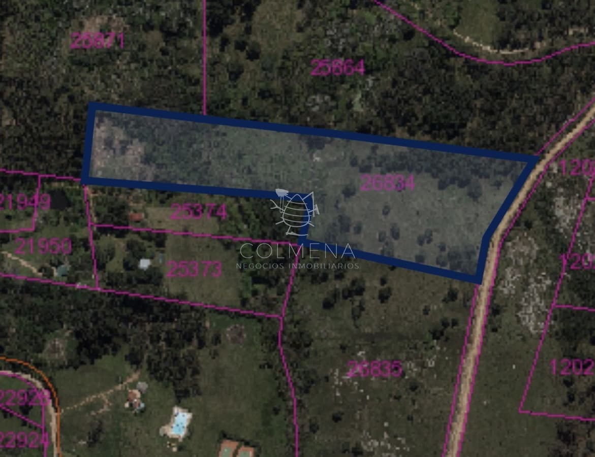Venta chacra sobre camino La pataia Punta Ballena