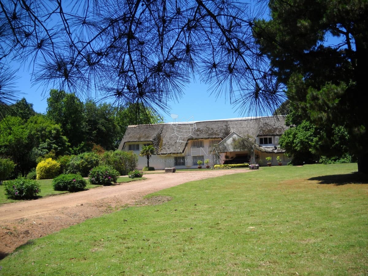 Venta chacra Punta del Este