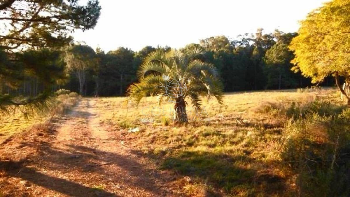 Venta chacra sobre camino La pataia Punta Ballena