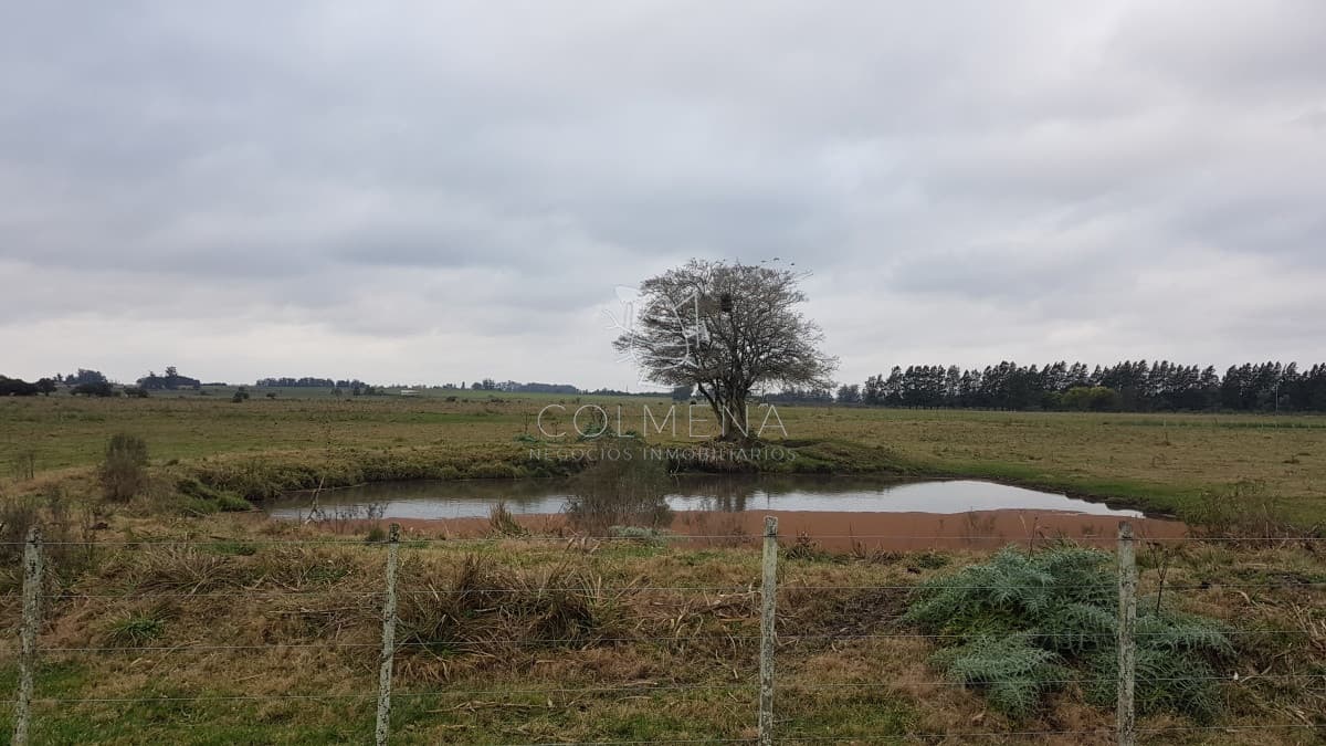 Venta chacra en la pataia