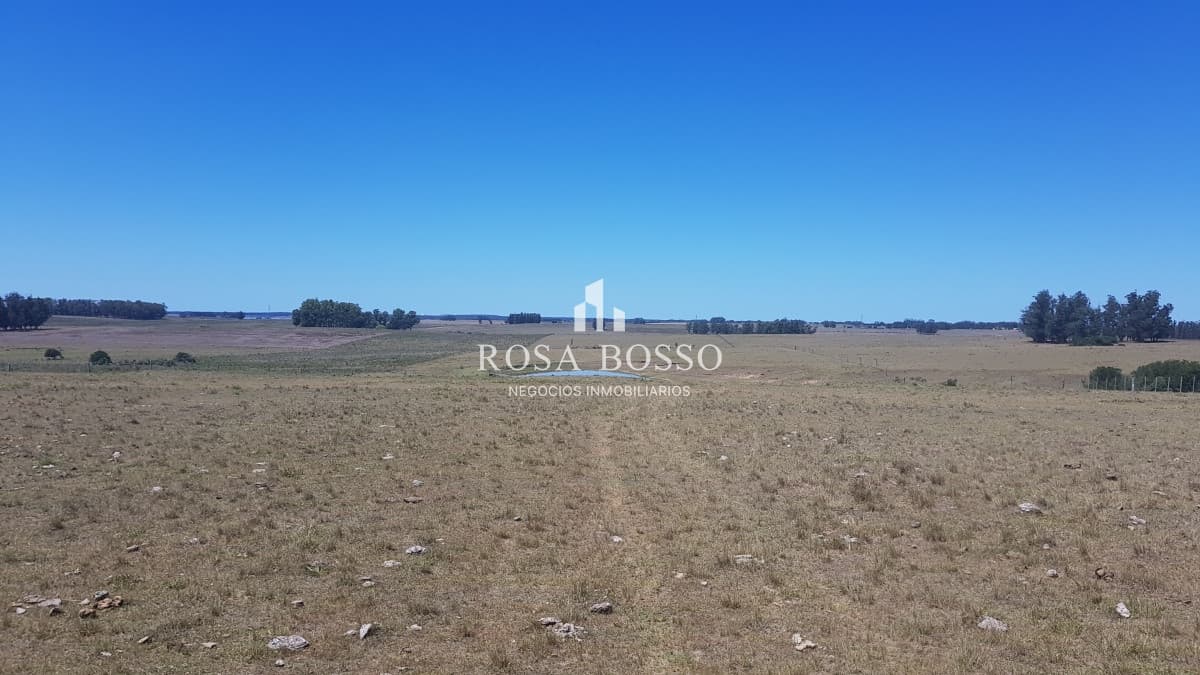 Chacra, Venta, José Ignacio, 10 hectareas