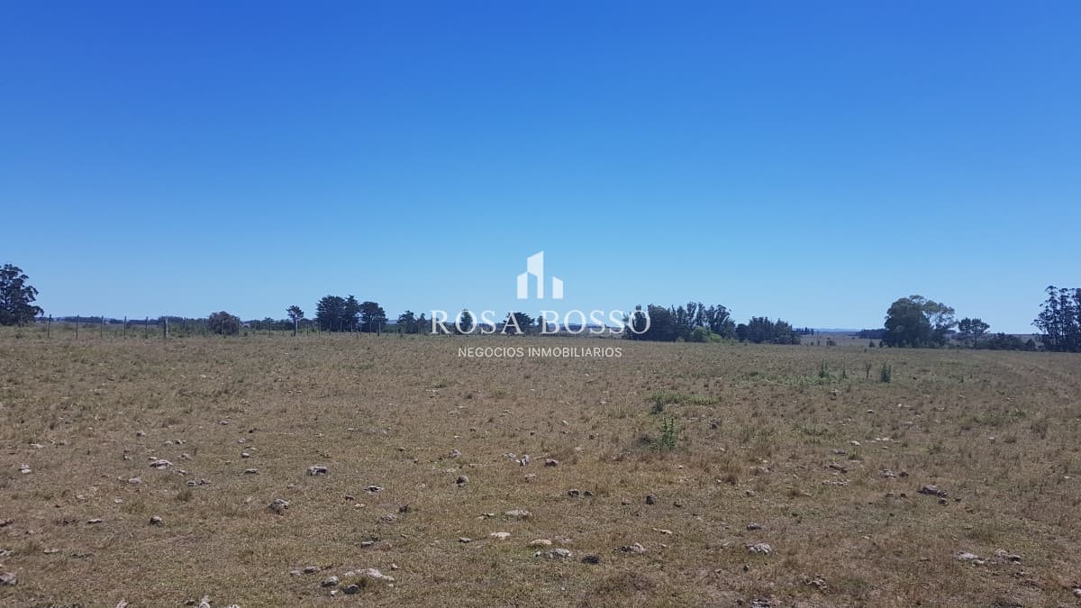 Chacra, Venta, José Ignacio, 10 hectareas