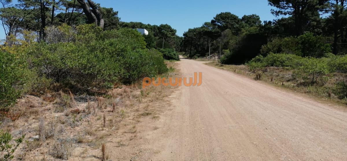 Lote junto al mar