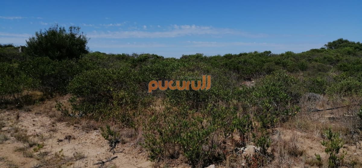 Lote junto al mar