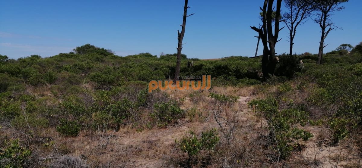 Lote junto al mar
