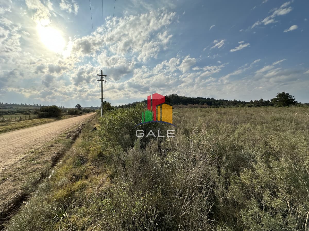 Gale Propiedades & Escribanía Chacra ID.3653 - Venta chacra Maldonado
