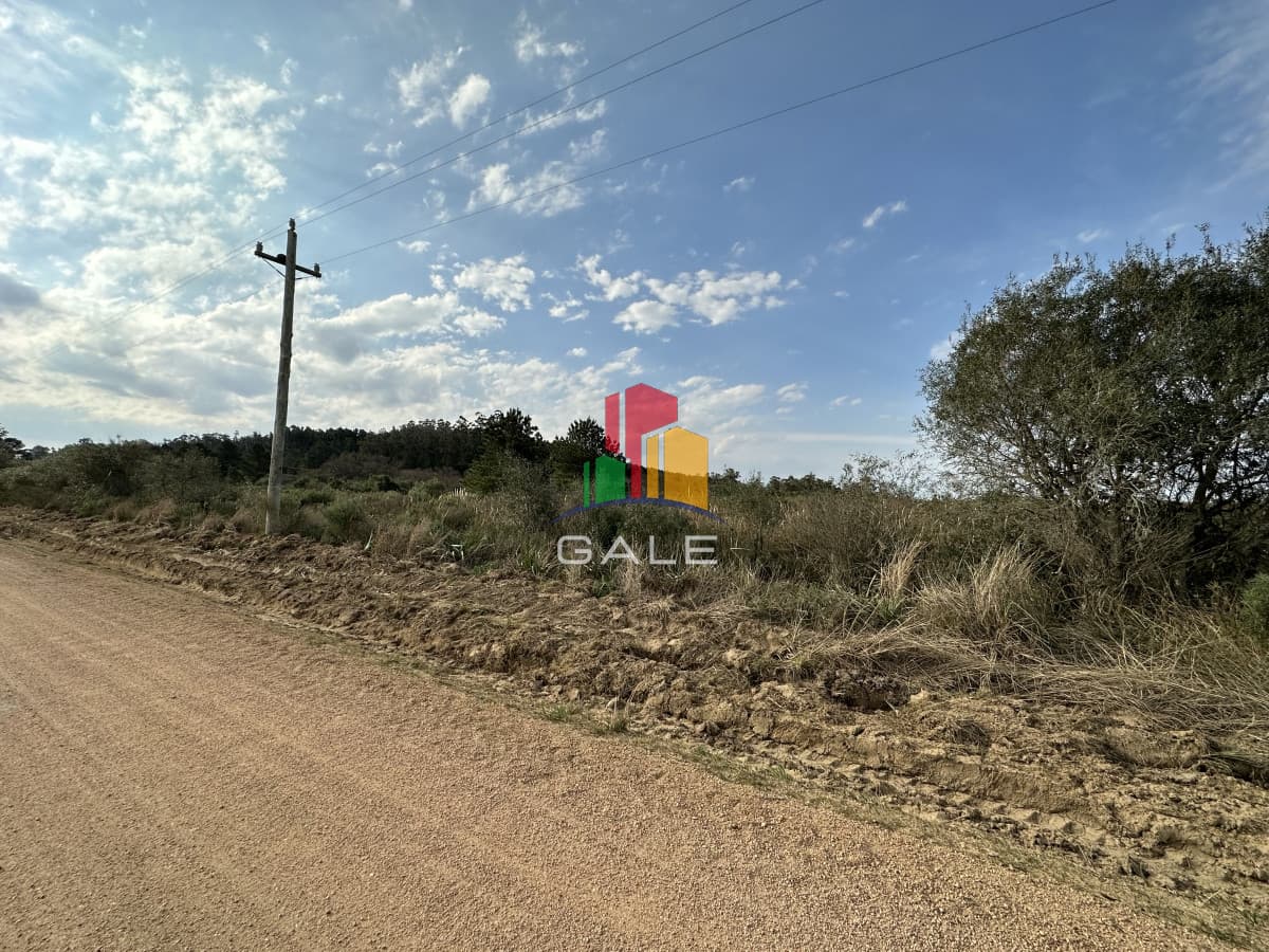 Gale Propiedades & Escribanía Chacra ID.3653 - Venta chacra Maldonado