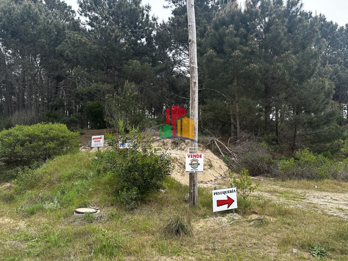 Gale Propiedades & Escribanía Terreno ID.4422 - Lote chihuahua