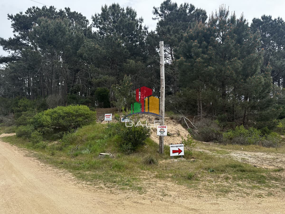 Gale Propiedades & Escribanía Terreno ID.4422 - Lote chihuahua