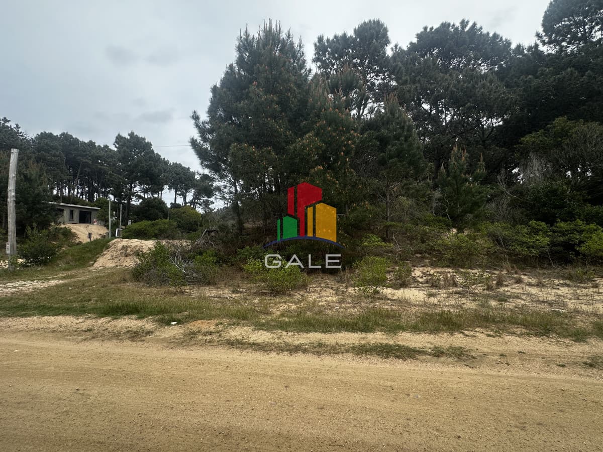 Gale Propiedades & Escribanía Terreno ID.5072 - Terreno en Punta Ballena, Chihuahua