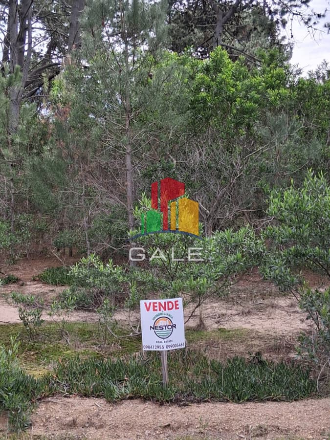 Gale Propiedades & Escribanía Terreno ID.5071 - Terreno en Punta Ballena, Chihuahua