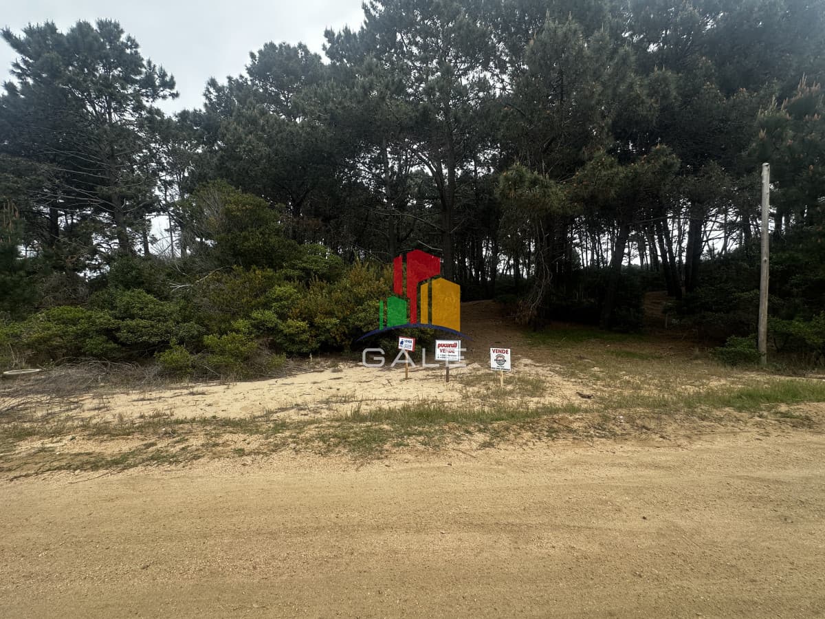 Gale Propiedades & Escribanía Terreno ID.5072 - Terreno en Punta Ballena, Chihuahua