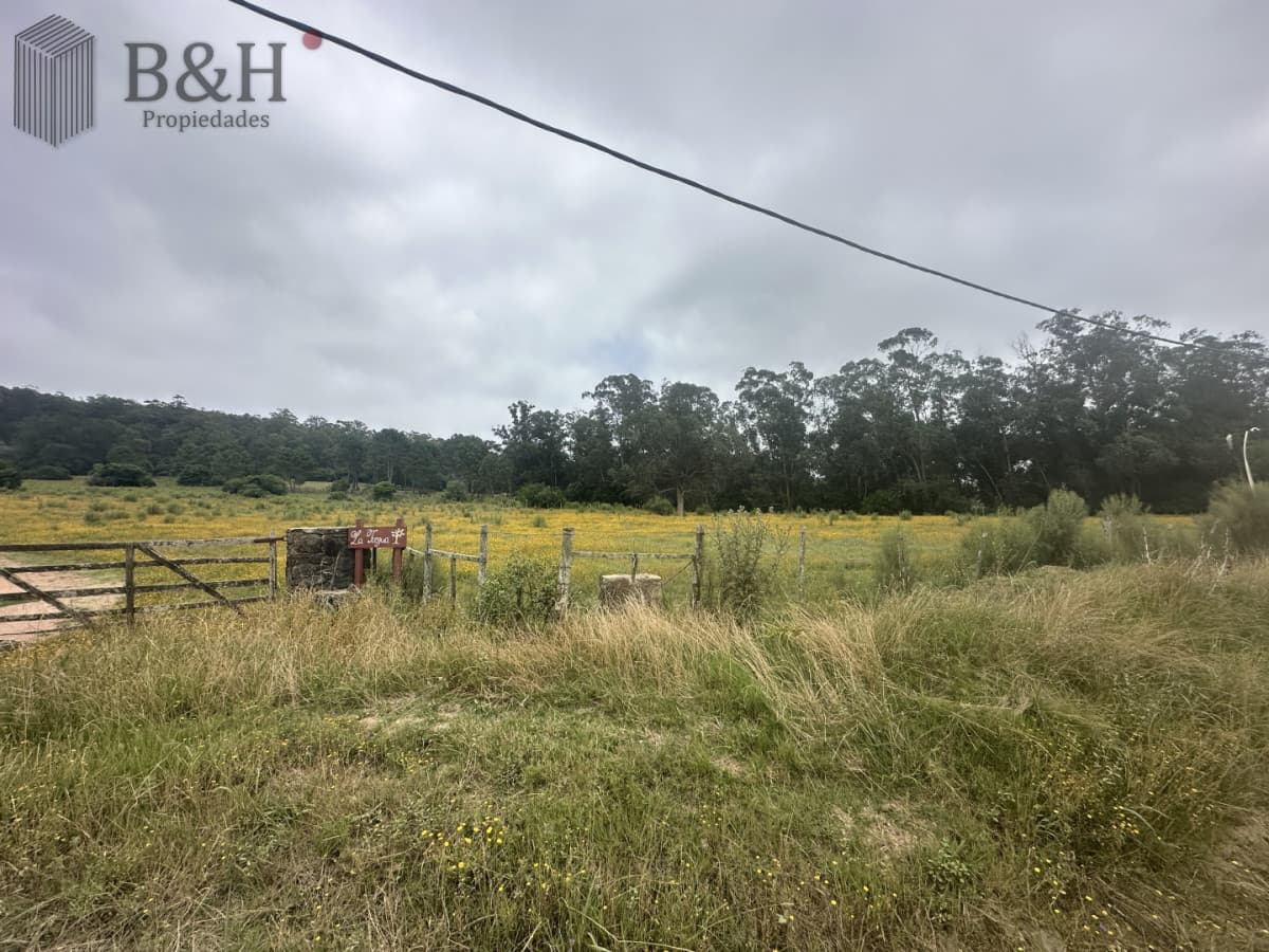Venta chacra en zona La Pataia Punta Ballena