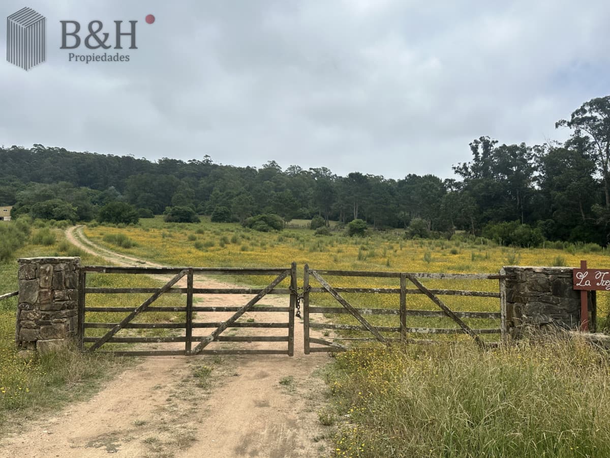 Venta chacra en zona La Pataia Punta Ballena