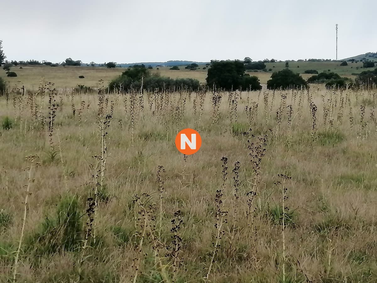 Venta chacras en Pueblo Edén