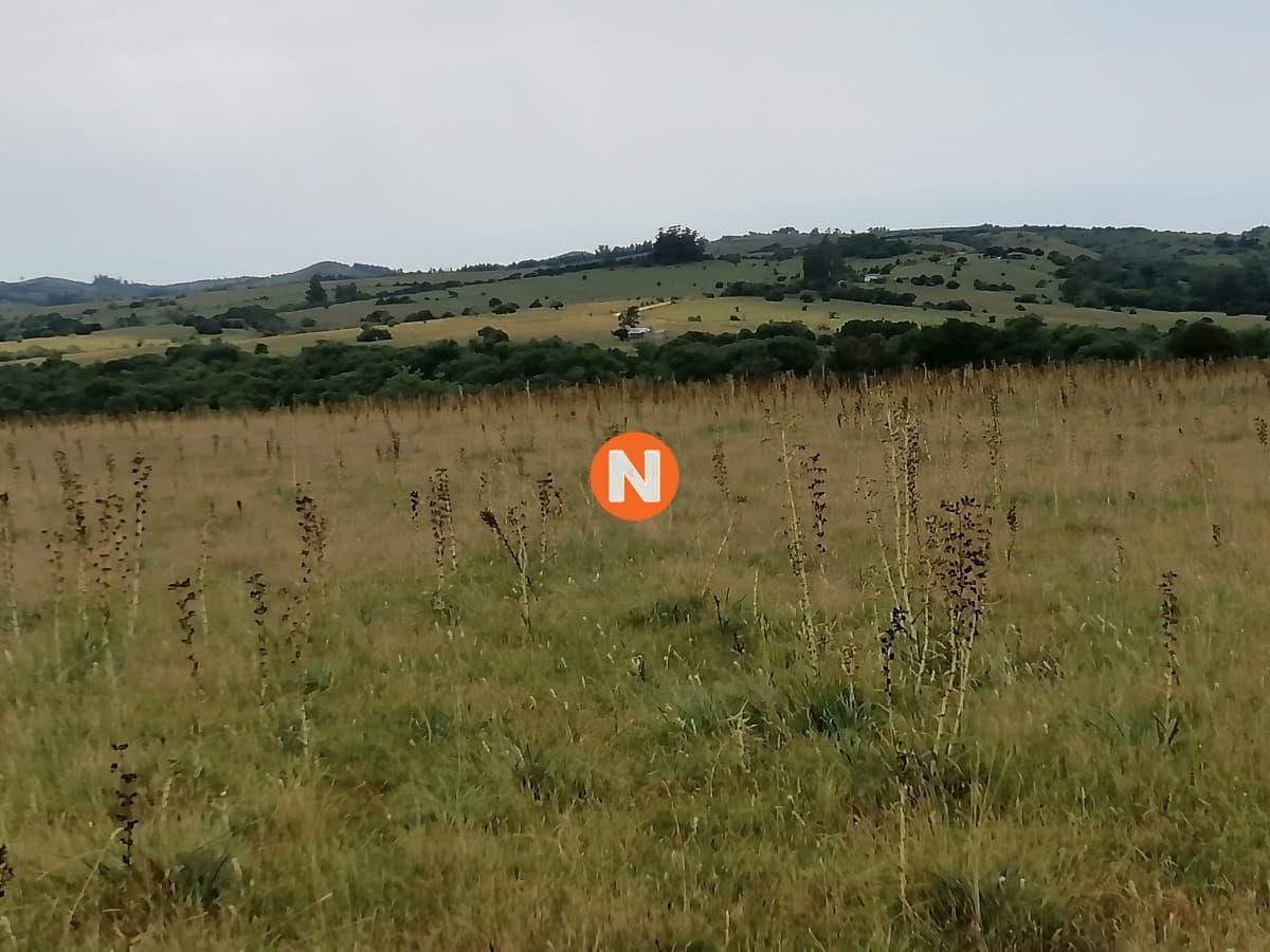 Venta chacras en Pueblo Edén