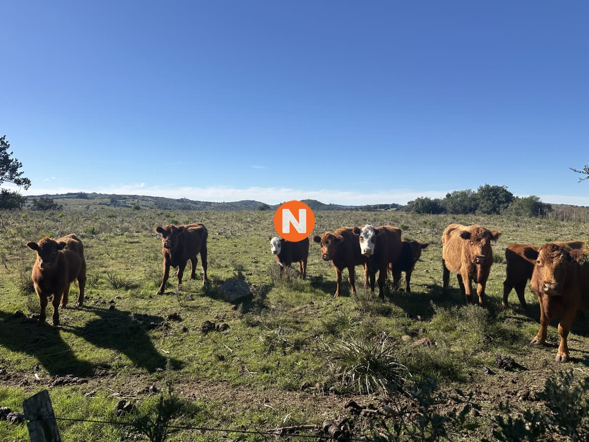 Venta Chacra en Pueblo Edén, Maldonado