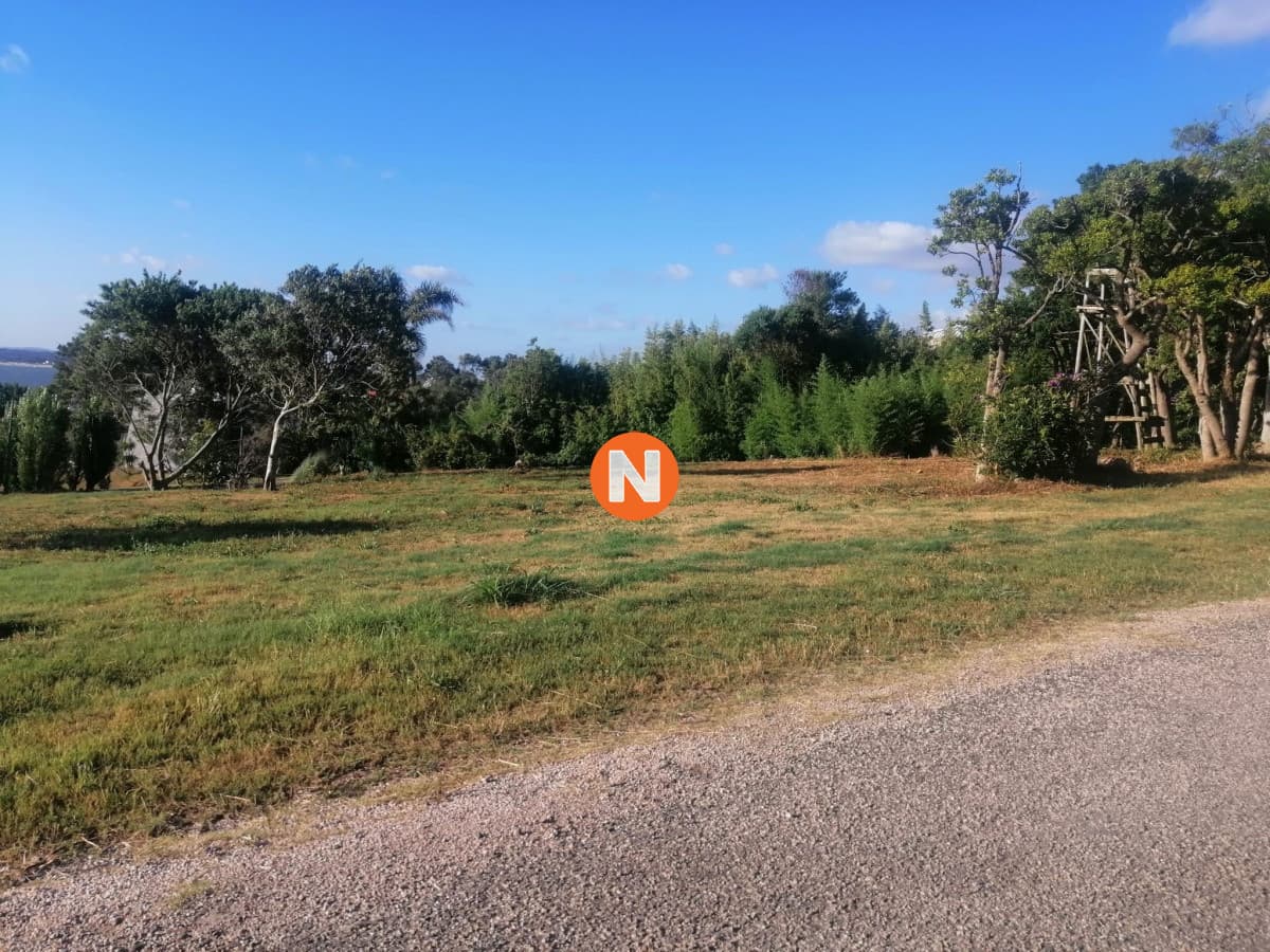 VENTA DE TERRENO EN EL LOMO DE PUNTA BALLENA