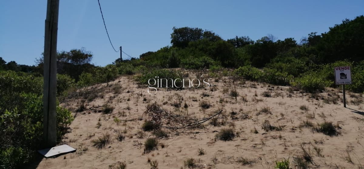 Terreno en Venta proximo al Mar - Chihuahua - Punta Ballena