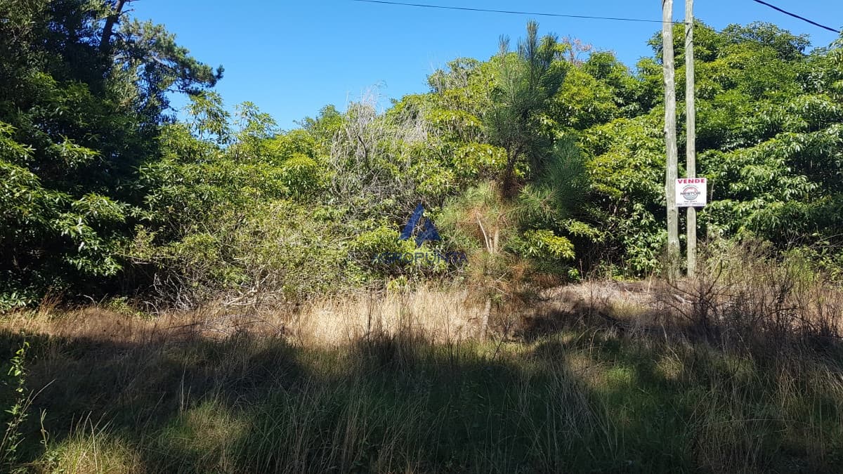 Terreno en Venta en Portezuelo 2.200m2