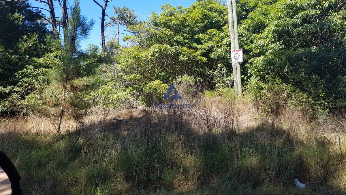 Terreno en Venta en Portezuelo 2.200m2