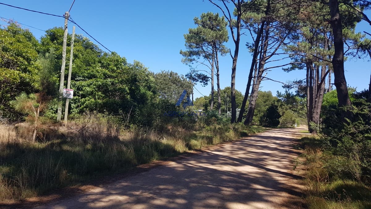 Terreno en Venta en Portezuelo 2.200m2