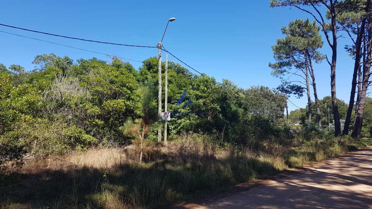 Terreno en Venta en Portezuelo 2.200m2