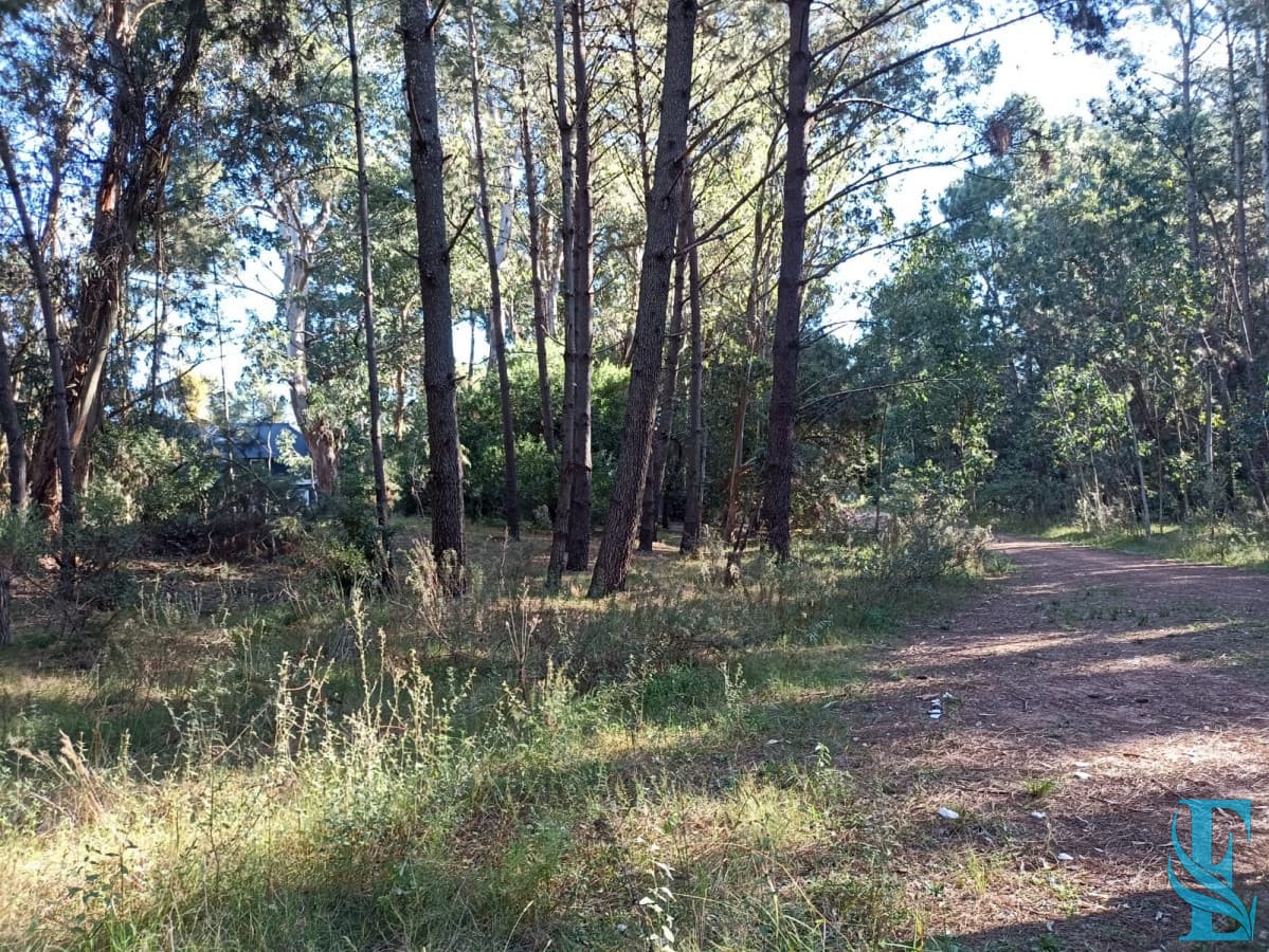 Terreno en Punta del Este, Pinares