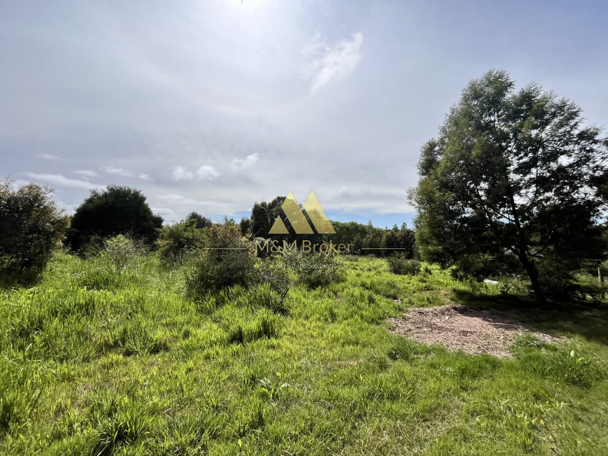 Chacra ID.626 - Venta chacra 6ha próximo a Laguna de los Cisnes Punta del Este